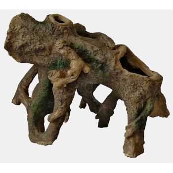 Standing Root Medium